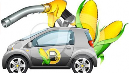 Đài Loan thay đổi tiêu chuẩn nhập khẩu đối với dầu mỡ công nghiệp dùng trong việc sản xuất xăng sinh học 