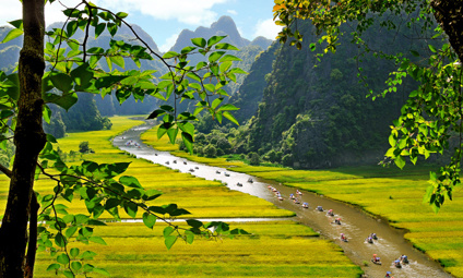 Hỗ trợ hơn 225 tỷ đồng để bảo vệ đất trồng lúa