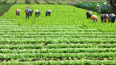 Miễn thuế nhập khẩu cho doanh nghiệp đầu tư vào nông nghiệp