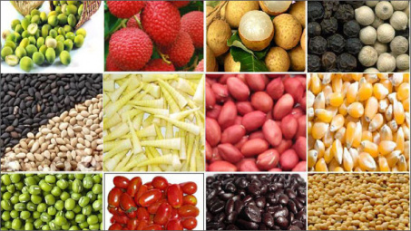 Thị trường nông sản khởi sắc trở lại