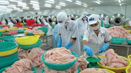 Khuyến cáo về xuất khẩu hàng thủy sản sang Ai Cập
