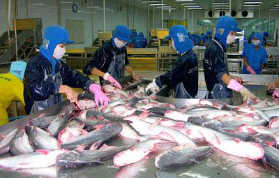 Khắc phục khó khăn cho cá tra xuất khẩu