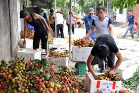Quảng Ninh: 20 đơn vị tham gia Chương trình OCOP