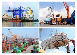 Thời gian thông quan giảm nhờ một cửa quốc gia