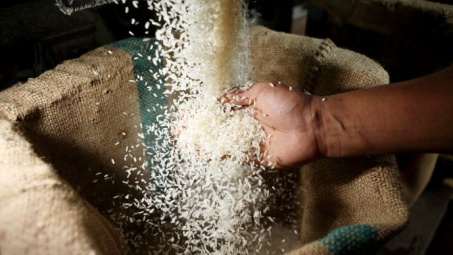 Reuters: Philippines có thể nhập khẩu thêm 600.000 tấn gạo trong năm 2014