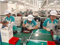 Kết nối doanh nghiệp Việt Nam tham gia cung cấp linh, phụ kiện cho Samsung