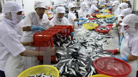 Thủy sản phấn đấu đạt kim ngạch xuất khẩu 8,5 tỷ USD năm 2015