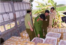 Hà Nội: Bắt giữ 1,5 tấn nội tạng động vật thối