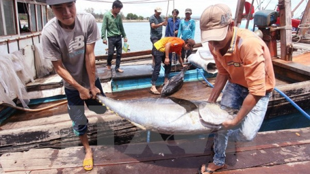 Sản lượng thủy sản cả nước tăng dù thời tiết nhiều bất lợi