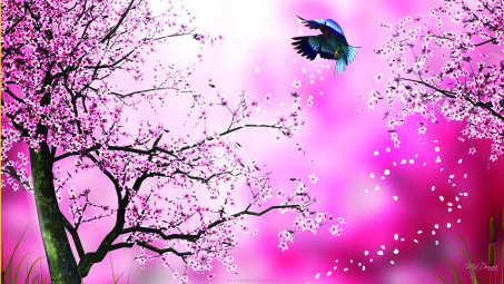 Nếu một ngày phố không đợi ta về