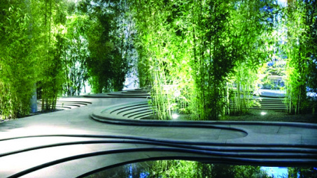 Tre, trúc cho tâm hồn nhẹ bỗng