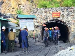 Sức sống mới của Than Hồng Thái 