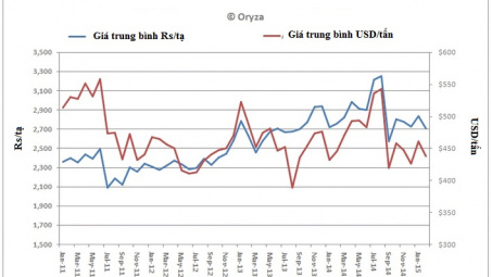 Giá bán buôn gạo trung bình tại Ấn Độ trong tháng 2/2015 giảm 4% 