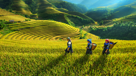 WB thông qua khoản tín dụng bổ sung 100 triệu USD cho hoạt động giảm nghèo ở Việt Nam
