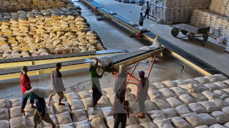 Việt Nam giành hợp đồng cung cấp 300.000 tấn gạo cho Philippines