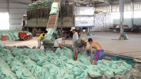 VietABank dành 500 tỷ đồng cho vay thu mua tạm trữ lúa gạo