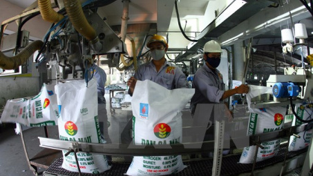 Nhiều tranh cãi về việc miễn thuế giá trị gia tăng với phân bón