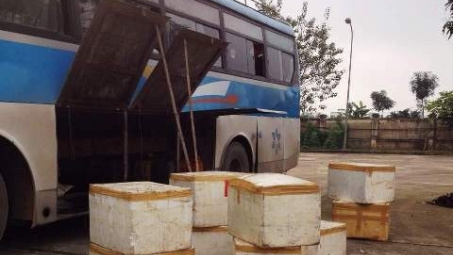 Thanh Hóa: Bắt giữ 650 kg thịt lợn thiu, thối