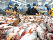 Mỹ áp đặt quy định khắt khe hơn đối với mặt hàng cá da trơn
