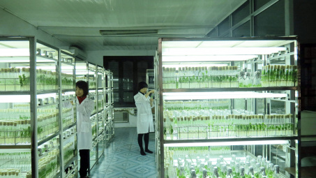Viện Kinh tế Kỹ thuật Thuốc lá: Phát huy cơ chế tự chủ ở doanh nghiệp khoa học công nghệ