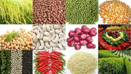 Vietnam Foodexpo 2015: Phát huy sức mạnh tập thể của toàn ngành nông sản, thực phẩm