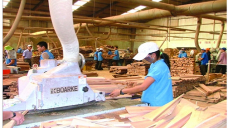 Ngành chế biến gỗ - lâm sản Bình Định phát huy tốt ưu thế