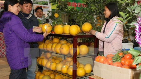 Hàng nông lâm sản của Việt Nam sẽ góp mặt tại triển lãm Côn Minh