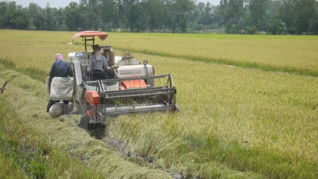 Đồng bằng sông Cửu Long hiện đại hóa công nghệ sau thu hoạch