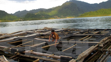 Ban hành quy chuẩn kỹ thuật quốc gia về điều kiện nuôi thủy sản
