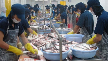 Tọa đàm về xuất khẩu bền vững cá da trơn của Việt Nam vào EU