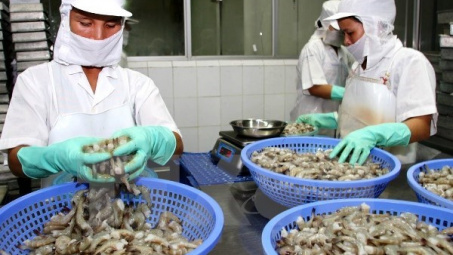 TP. Hồ Chí Minh và vùng lãnh thổ Bắc Australia tăng hợp tác nông, thủy sản