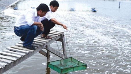 Công ty TNHH Đầu tư Thủy sản Nam Miền Trung: Ấp ủ hoài bão lớn