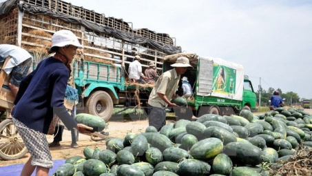 Lạng Sơn tạo mọi điều kiện xuất khẩu nông sản