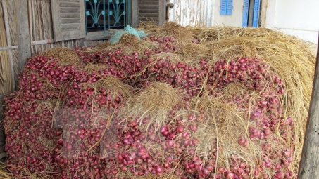 Giá thu mua hành tím ở Sóc Trăng tăng mạnh, gấp tới 4 lần