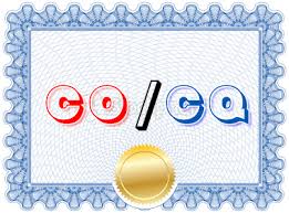 Quyết định về việc ban hành Danh mục thương nhân được lựa chọn tham gia Quy trình thí điểm cấp Giấy chứng nhận xuất xứ qua Internet