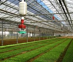 Quy hoạch tổng thể vùng nông nghiệp ứng dụng công nghệ cao
