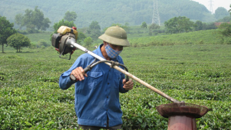 Từ "nhà khoa học chân đất" nghĩ tới sức mạnh sáng tạo vô tận