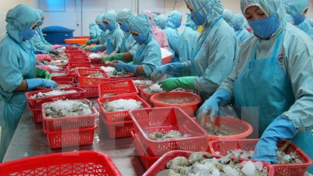 Đẩy mạnh chuỗi xúc tiến sản phẩm Việt tiêu biểu sang Hàn Quốc