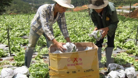 Tiềm năng thu hút FDI vào lĩnh vực nông nghiệp ở Lâm Đồng