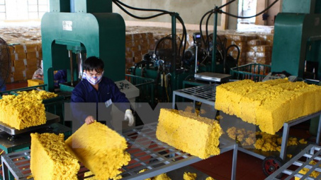 Việt Nam quảng bá sản phẩm ưu thế tại khu vực Tây Nam Trung Quốc