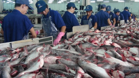 Doanh nghiệp thủy sản cần chủ động đáp ứng yêu cầu của EU