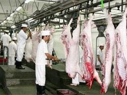 Tăng cường quản lý VSATTP cơ sở giết mổ gia súc, gia cầm