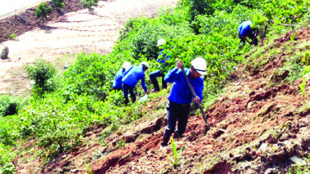 Chuyển biến tích cực trong phục hồi môi trường