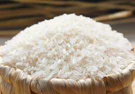 Xuất khẩu gạo sang châu Phi, Tây Á, Nam Á phục hồi khả quan