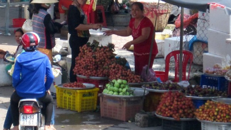 Sắp có nhà máy đóng gói vải thiều đạt chuẩn đi Mỹ