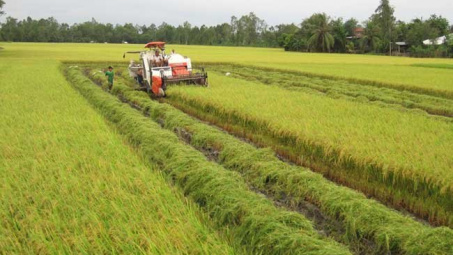 WB: Phê duyệt một số khoản tín dụng cho Việt Nam 