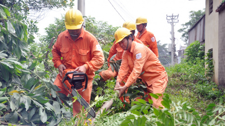 EVN HANOI: An toàn lưới điện mùa mưa bão