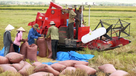 Agricultural production in seven months of the year