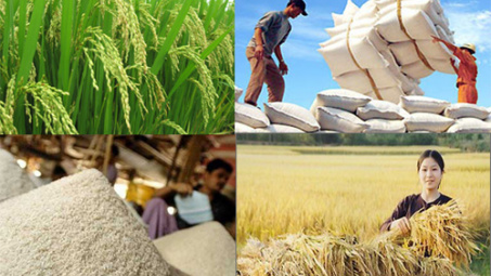 100 sản phẩm, hàng vạn tấm lòng vì sự phát triển của công nghiệp nông thôn