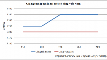 Diễn biến giá ngô nhập khẩu về Việt Nam (17/8 - 24/8/2015)